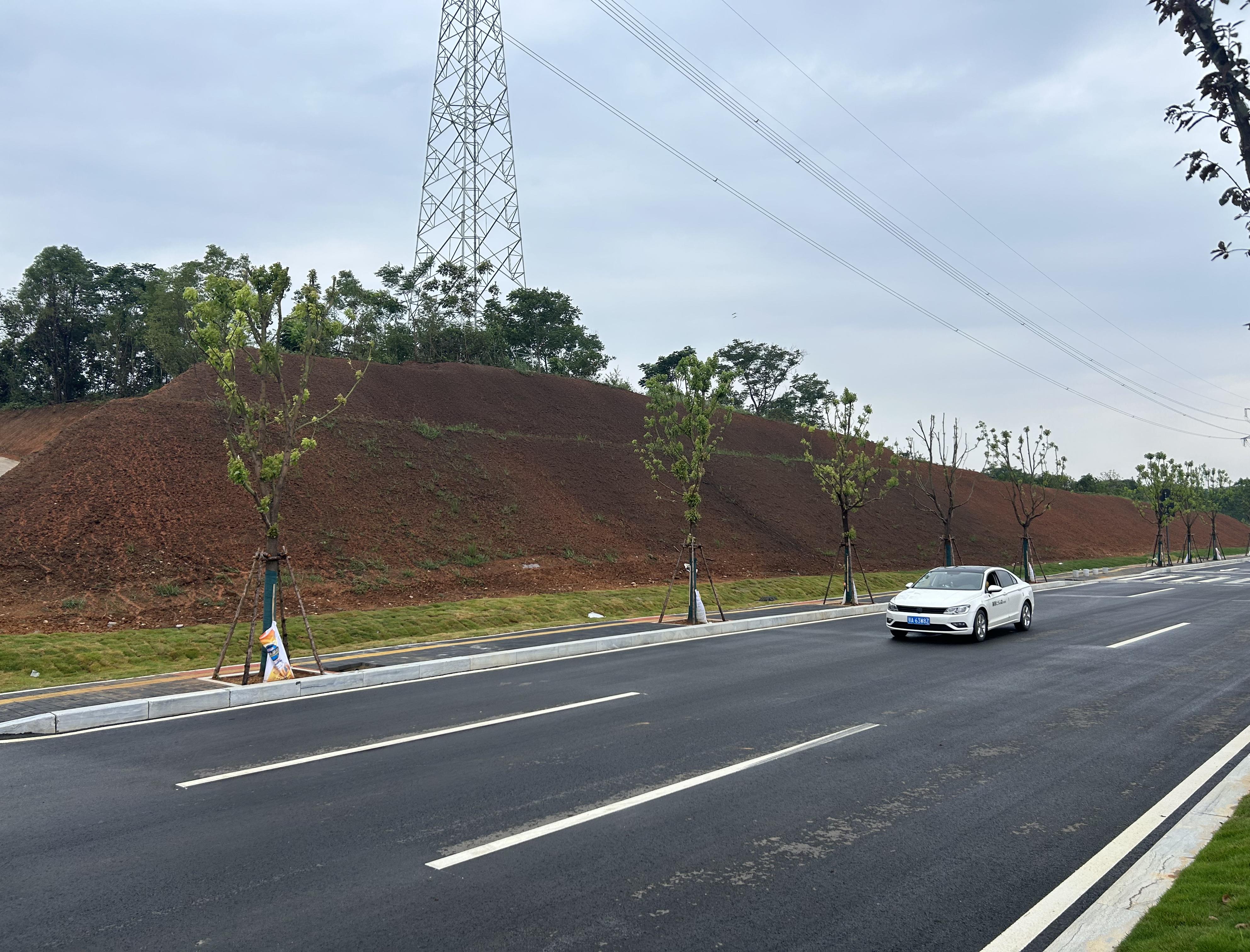 白洋臨港大道上段（田家河大道-天螺寺路）綜合市政工程邊坡綠化工程 順利完工！