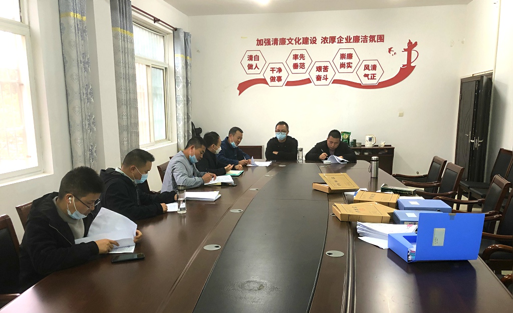 江夏區(qū)靈山工礦廢棄地復墾利用試點項目一期工程（類壤土噴播工程、主動防護網及掛網栽植工程）竣工初步驗收會議圓滿結束