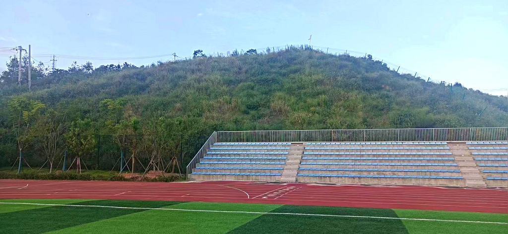 武漢商貿職業(yè)學院紅安校區(qū)足球場邊坡綠化工程順利完工！